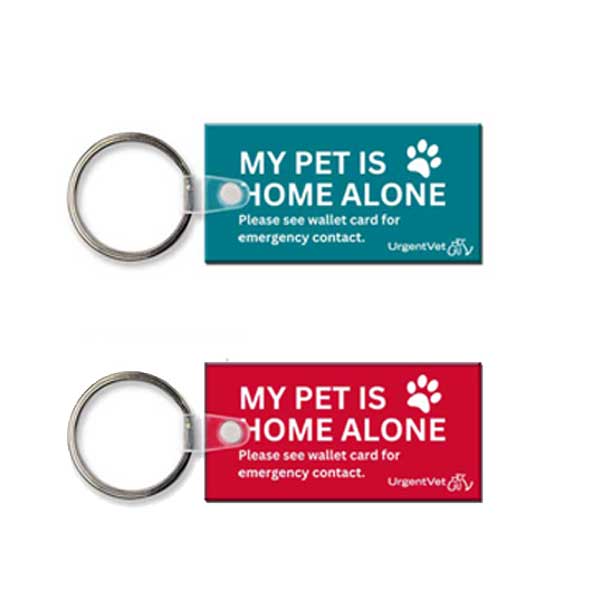 Pet Is Home Alone Keychain & Card Set