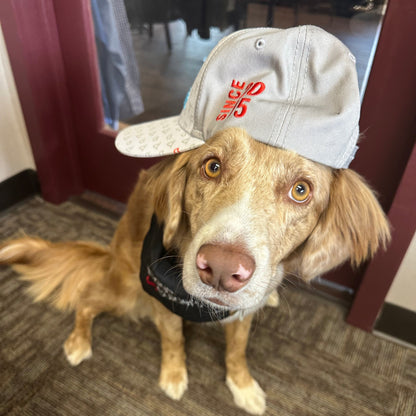 Custom Pet Fetti Hat